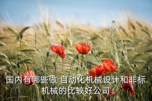 國內(nèi)有哪些做 自動化機(jī)械設(shè)計和非標(biāo)機(jī)械的比較好公司