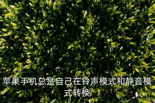 蘋果手機總是自己在鈴聲模式和靜音模式轉(zhuǎn)換