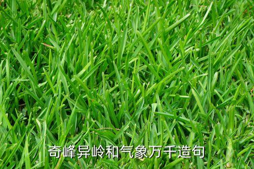 奇峰異嶺和氣象萬(wàn)千造句