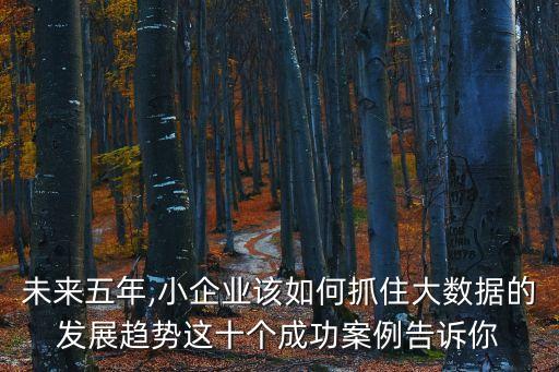 未來五年,小企業(yè)該如何抓住大數(shù)據(jù)的發(fā)展趨勢這十個成功案例告訴你