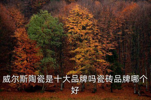 威爾斯陶瓷是十大品牌嗎瓷磚品牌哪個好