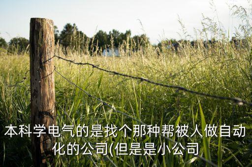 本科學(xué)電氣的是找個那種幫被人做自動化的公司(但是是小公司