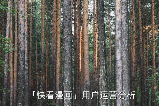 「快看漫畫」用戶運(yùn)營(yíng)分析