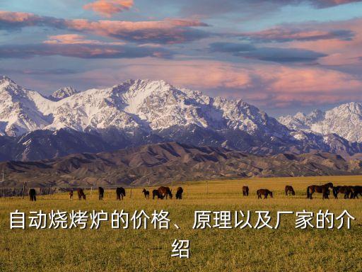 自動燒烤爐的價格、原理以及廠家的介紹