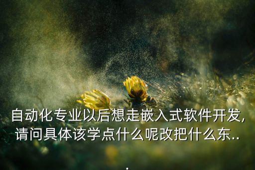自動化專業(yè)以后想走嵌入式軟件開發(fā),請問具體該學(xué)點(diǎn)什么呢改把什么東...