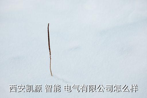 西安凱源 智能 電氣有限公司怎么樣