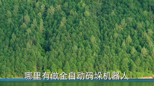哪里有做全自動碼垛機器人