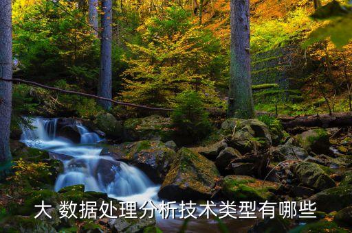 大 數(shù)據(jù)處理分析技術(shù)類型有哪些