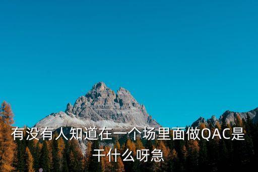 qac，有沒(méi)有人知道在一個(gè)場(chǎng)里面做QAC是干什么呀急
