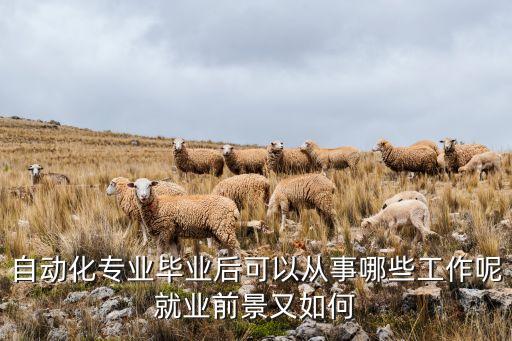 自動化專業(yè)畢業(yè)后可以從事哪些工作呢就業(yè)前景又如何