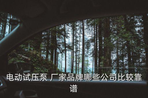 電動(dòng)試壓泵 廠(chǎng)家品牌哪些公司比較靠譜