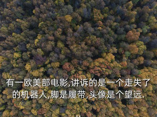 有一歐美部電影,講訴的是一個走失了的機器人,腳是履帶,頭像是個望遠...