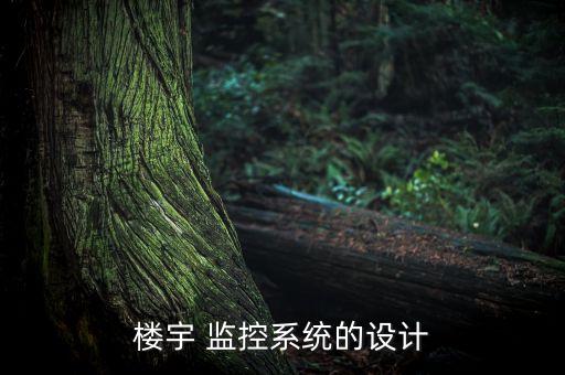 樓宇 監(jiān)控系統(tǒng)的設(shè)計