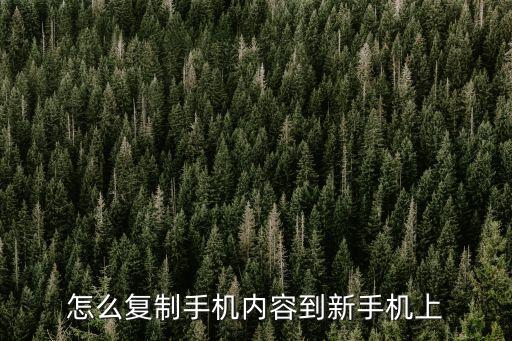 怎么復(fù)制手機(jī)內(nèi)容到新手機(jī)上