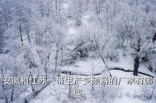 安徽和江蘇一帶生產(chǎn)變頻器的廠家有哪些