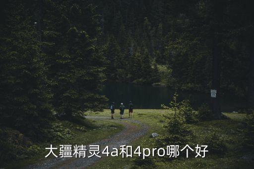 大疆精靈4a和4pro哪個(gè)好