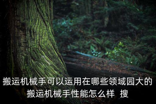 搬運(yùn)機(jī)械手可以運(yùn)用在哪些領(lǐng)域園大的搬運(yùn)機(jī)械手性能怎么樣  搜