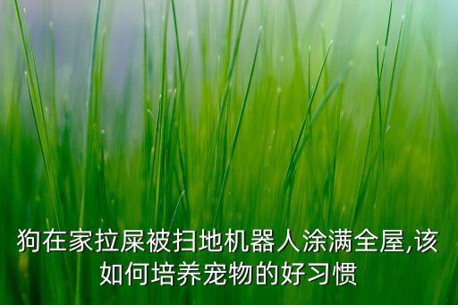 狗在家拉屎被掃地機(jī)器人涂滿全屋,該如何培養(yǎng)寵物的好習(xí)慣