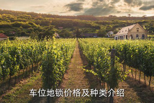 自動化立體停車設備單價,全自動立體車庫怎么建?