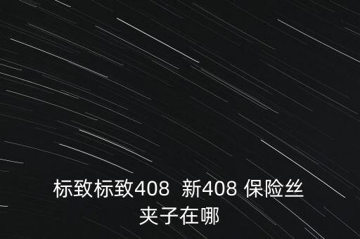 保險絲夾，標(biāo)致標(biāo)致408  新408 保險絲夾子在哪
