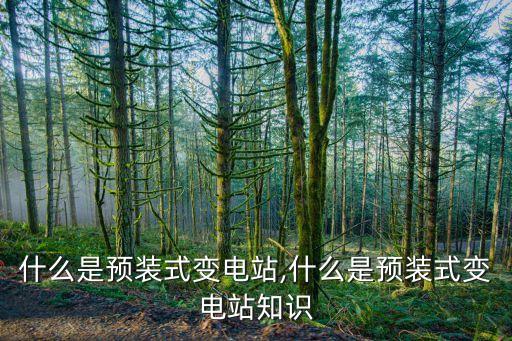 山西變電站自動化設(shè)備招標(biāo),電力系統(tǒng)及配套設(shè)備的數(shù)碼化升級
