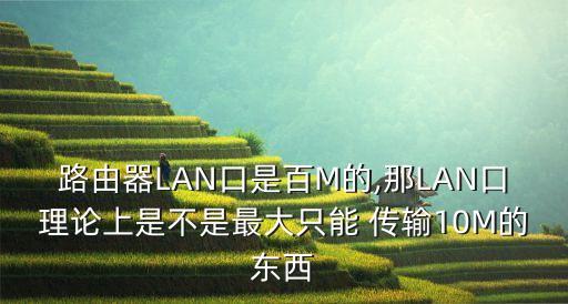 路由器LAN口是百M的,那LAN口理論上是不是最大只能 傳輸10M的東西