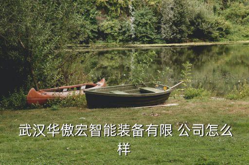 武漢機器人自動化公司,武漢奮進機器人公司