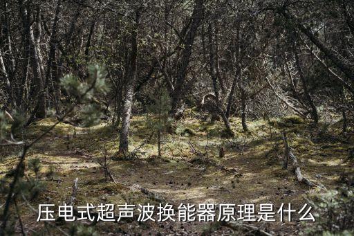 壓電式超聲波換能器原理是什么