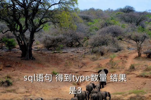 sql語句 得到type數(shù)量 結(jié)果是3