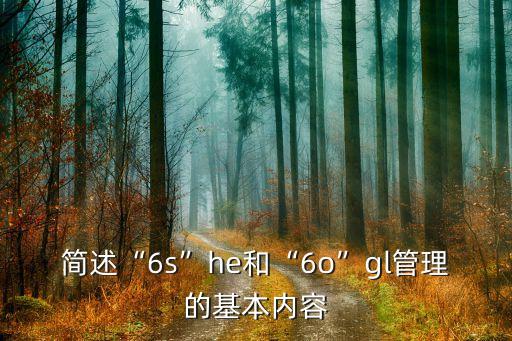 簡述“6s”he和“6o”gl管理的基本內(nèi)容