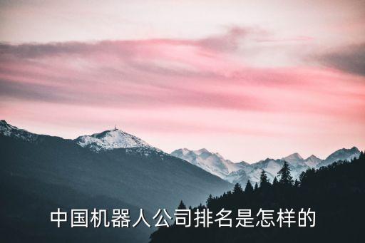 中國(guó)機(jī)器人公司排名是怎樣的