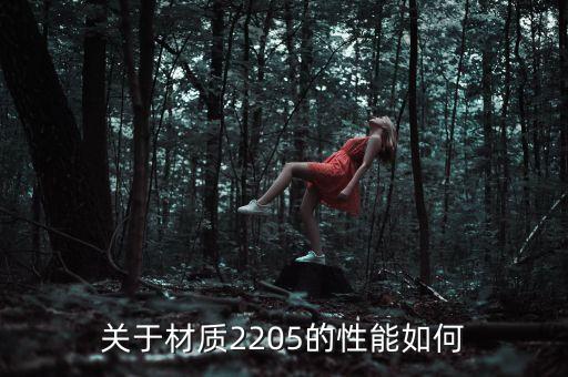2205，關(guān)于材質(zhì)2205的性能如何