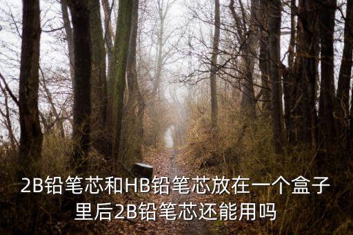 芯能