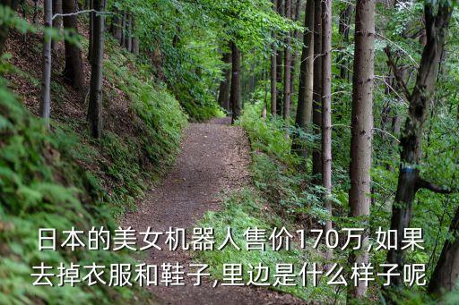 日本的美女機(jī)器人售價(jià)170萬(wàn),如果去掉衣服和鞋子,里邊是什么樣子呢