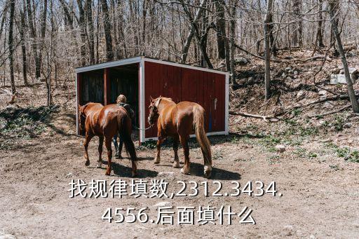 找規(guī)律填數(shù),2312.3434. 4556.后面填什么