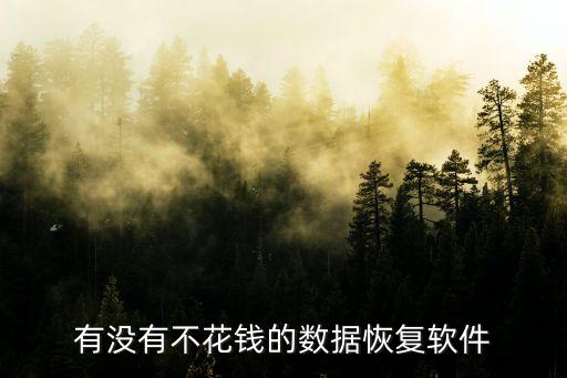 免費數(shù)據(jù)恢復軟件排行,比較好的免費數(shù)據(jù)恢復軟件有哪些?