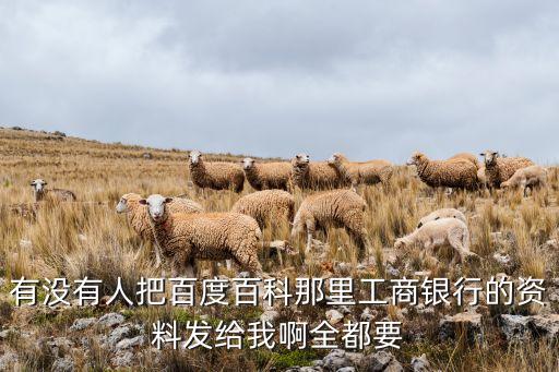 有沒有人把百度百科那里工商銀行的資料發(fā)給我啊全都要
