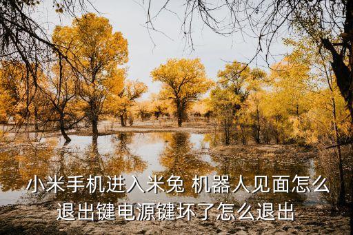 小米米兔機(jī)器人調(diào)整,小米手機(jī)米兔和機(jī)器人畫面下一步