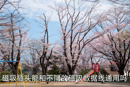磁吸插頭能和不同的磁吸數(shù)據(jù)線通用嗎
