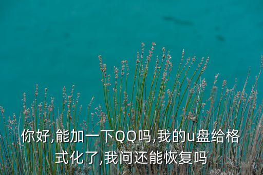 你好,能加一下QQ嗎,我的u盤給格式化了,我問還能恢復嗎