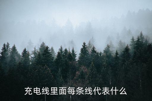 充電線里面每條線代表什么