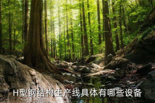鋼構(gòu)自動(dòng)化設(shè)備廠家,中山自動(dòng)化設(shè)備有限公司怎么樣?