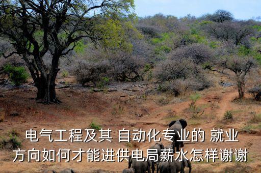 吉大電氣及其自動(dòng)化就業(yè)