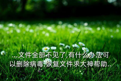 ...文件全部不見了,有什么辦法可以刪除病毒,恢復文件求大神幫助...