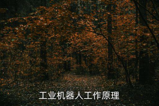 工業(yè)機器人工作原理