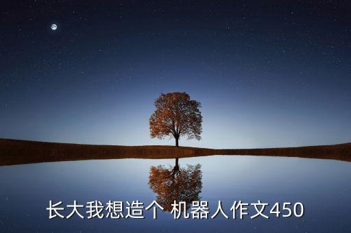 長(zhǎng)大我想造個(gè) 機(jī)器人作文450