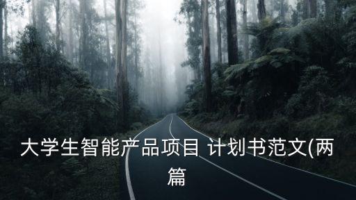 大學(xué)生智能產(chǎn)品項目 計劃書范文(兩篇