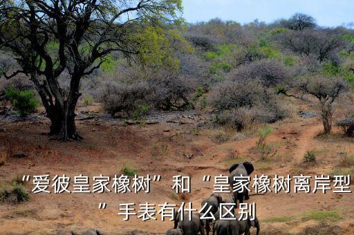 “愛彼皇家橡樹”和“皇家橡樹離岸型”手表有什么區(qū)別