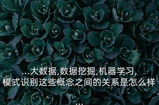 ...大數(shù)據(jù),數(shù)據(jù)挖掘,機(jī)器學(xué)習(xí),模式識別這些概念之間的關(guān)系是怎么樣...
