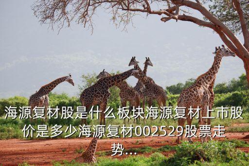 海源復(fù)材股是什么板塊海源復(fù)材上市股價(jià)是多少海源復(fù)材002529股票走勢(shì)...